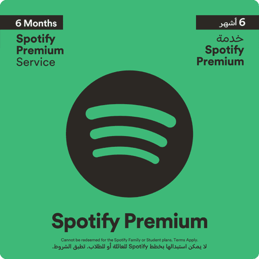 spotify 6 Months